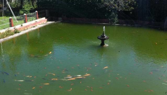 Campestre Sierra Viva Otel Zacatlán Dış mekan fotoğraf